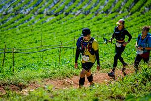 BIB: 
                            <button type="button" onclick="openModal(19164165)" class="btn btn-primary btn-sm float-right btn-popup" data-toggle="modal" data-target=".modal-high-quality">
                        <i class="fas fa-shopping-cart"></i> Add to Cart
                    </button>
                                            <button type="button" onclick="isThisMe(19164165, true)" class="btn btn-success btn-sm float-right btn-popup btn-isme hidden" data-toggle="tooltip" data-placement="bottom" title="นี่คือรูปของคุณใช่ไหม คลิกที่นี่เพื่อเอาเข้าอัลบั้ม">
                        <i class="fas fa-plus"></i> Add to album
                    </button>
                    <button type="button" onclick="isThisMe(19164165, false)" class="btn btn-warning btn-sm float-right btn-popup btn-isnotme hidden">
                        <i class="fas fa-ban"></i> Remove from album
                    </button>